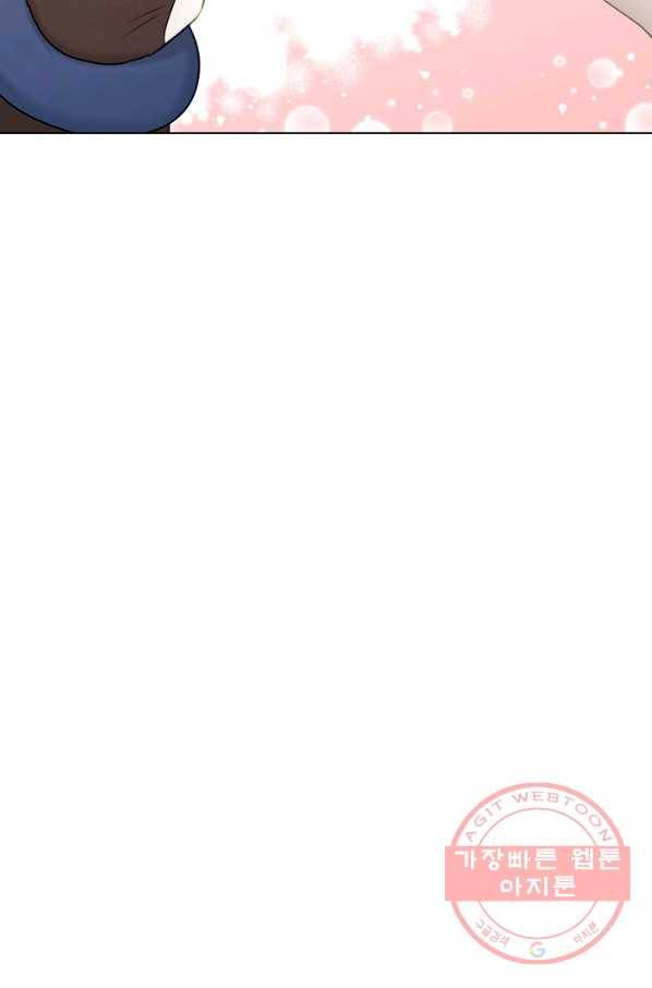 우리집 고양이는 베지테리언 신발이 얼룩진 이유 7