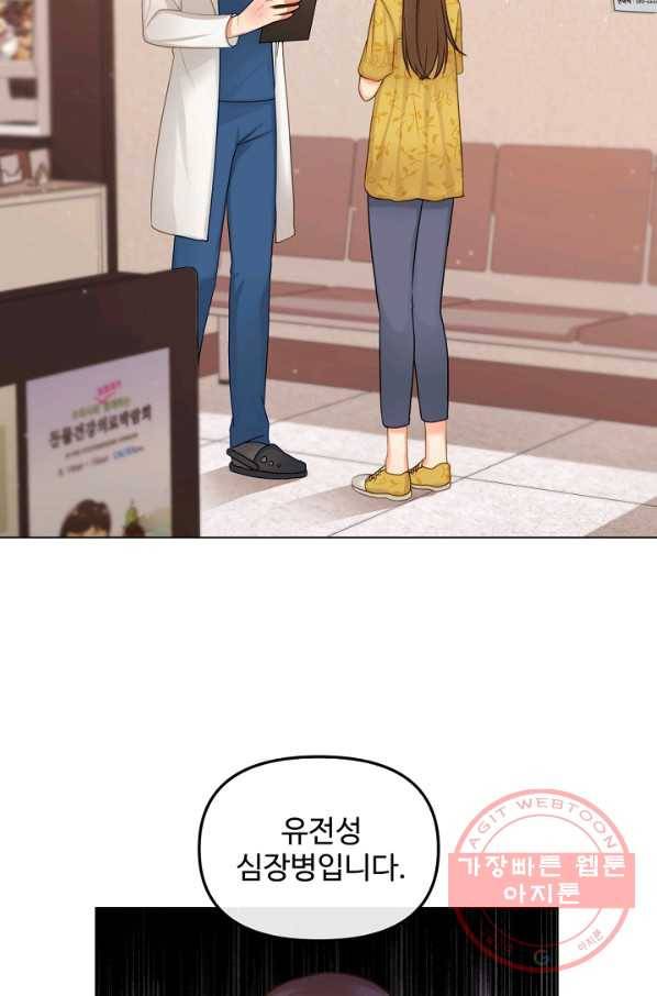 우리집 고양이는 베지테리언 신발이 얼룩진 이유 10
