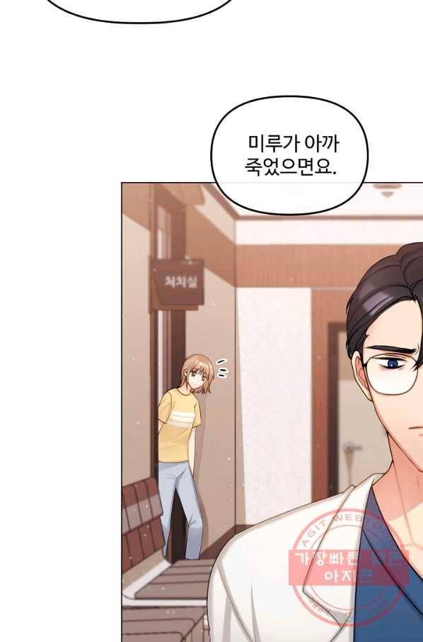 우리집 고양이는 베지테리언 신발이 얼룩진 이유 13