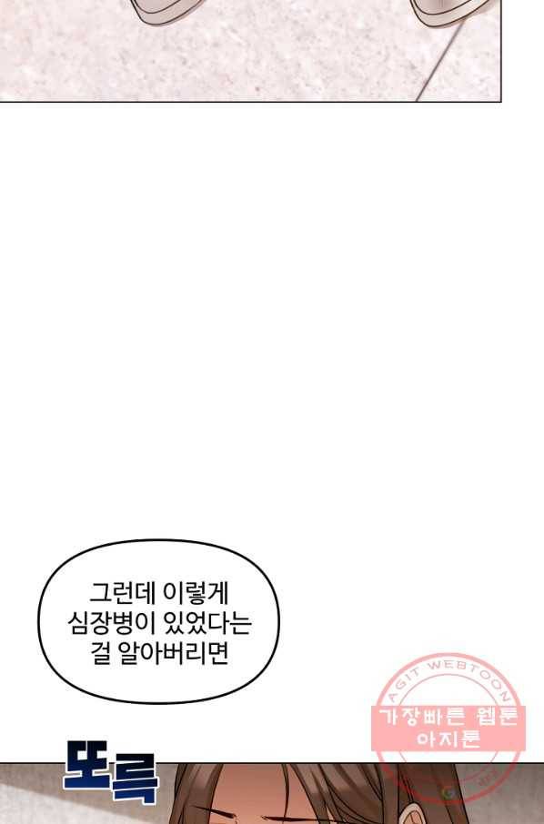 우리집 고양이는 베지테리언 신발이 얼룩진 이유 16