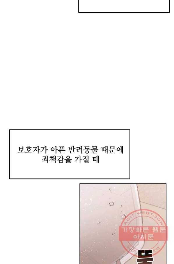 우리집 고양이는 베지테리언 신발이 얼룩진 이유 19