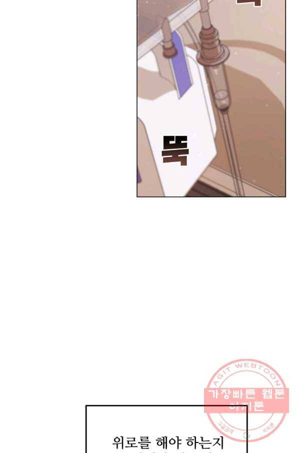 우리집 고양이는 베지테리언 신발이 얼룩진 이유 20