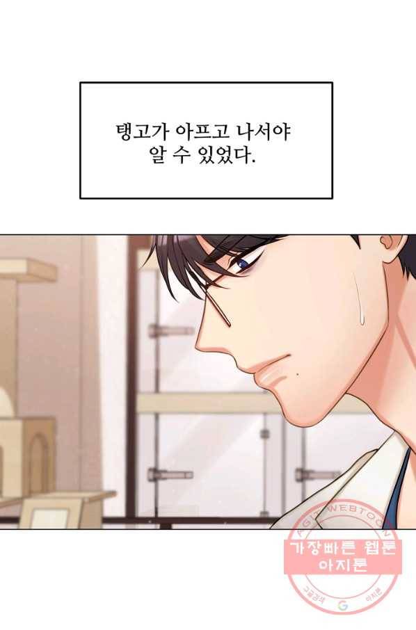 우리집 고양이는 베지테리언 신발이 얼룩진 이유 22