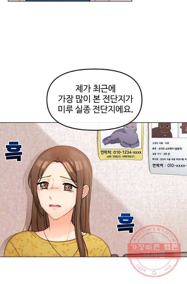 우리집 고양이는 베지테리언 신발이 얼룩진 이유 28