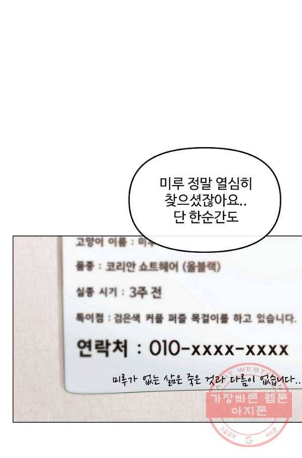 우리집 고양이는 베지테리언 신발이 얼룩진 이유 29