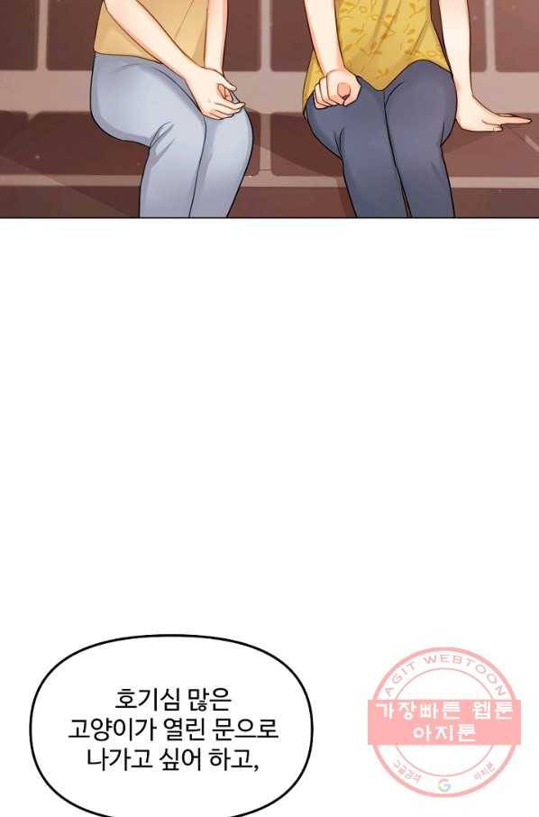 우리집 고양이는 베지테리언 신발이 얼룩진 이유 31