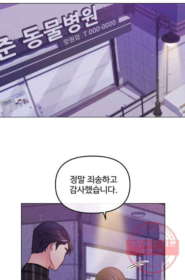 우리집 고양이는 베지테리언 신발이 얼룩진 이유 34