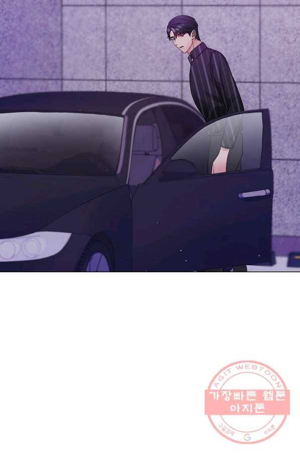 우리집 고양이는 베지테리언 신발이 얼룩진 이유 42