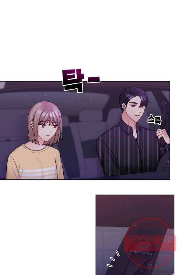 우리집 고양이는 베지테리언 신발이 얼룩진 이유 43