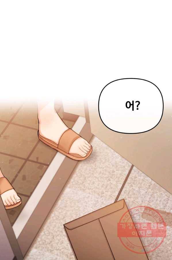 우리집 고양이는 베지테리언 신발이 얼룩진 이유 66