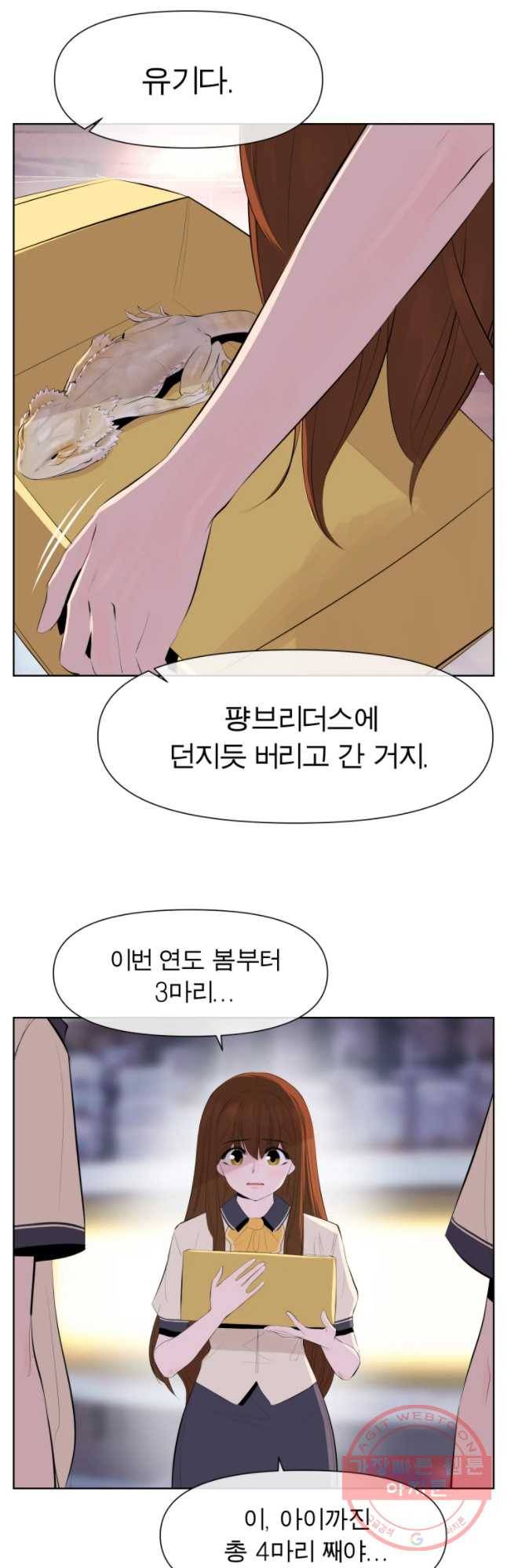 케어시트 12화 비어디 8