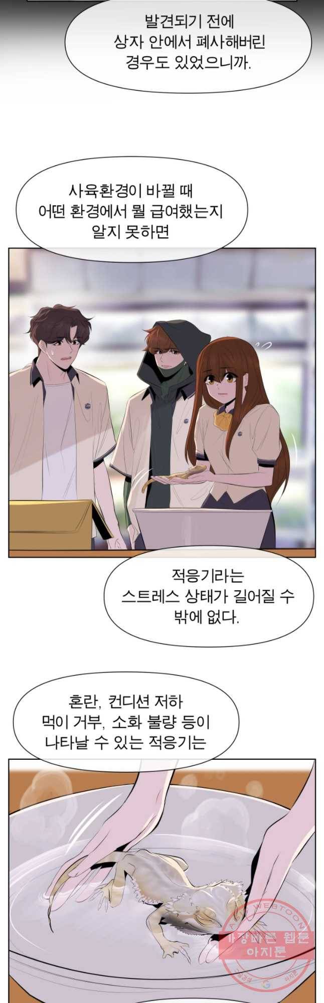 케어시트 12화 비어디 10