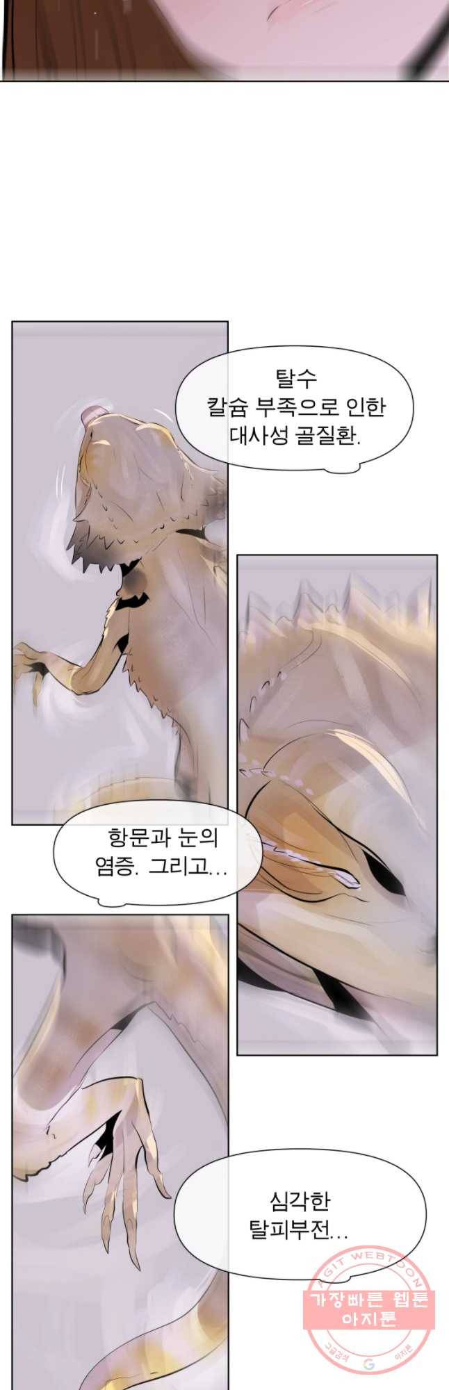 케어시트 12화 비어디 12
