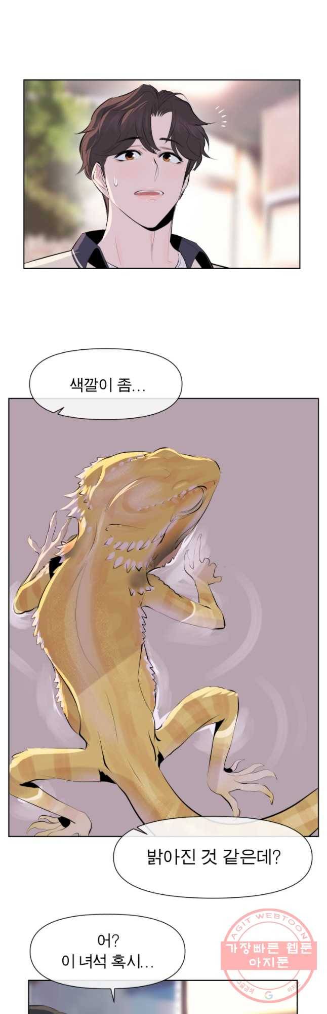 케어시트 12화 비어디 14