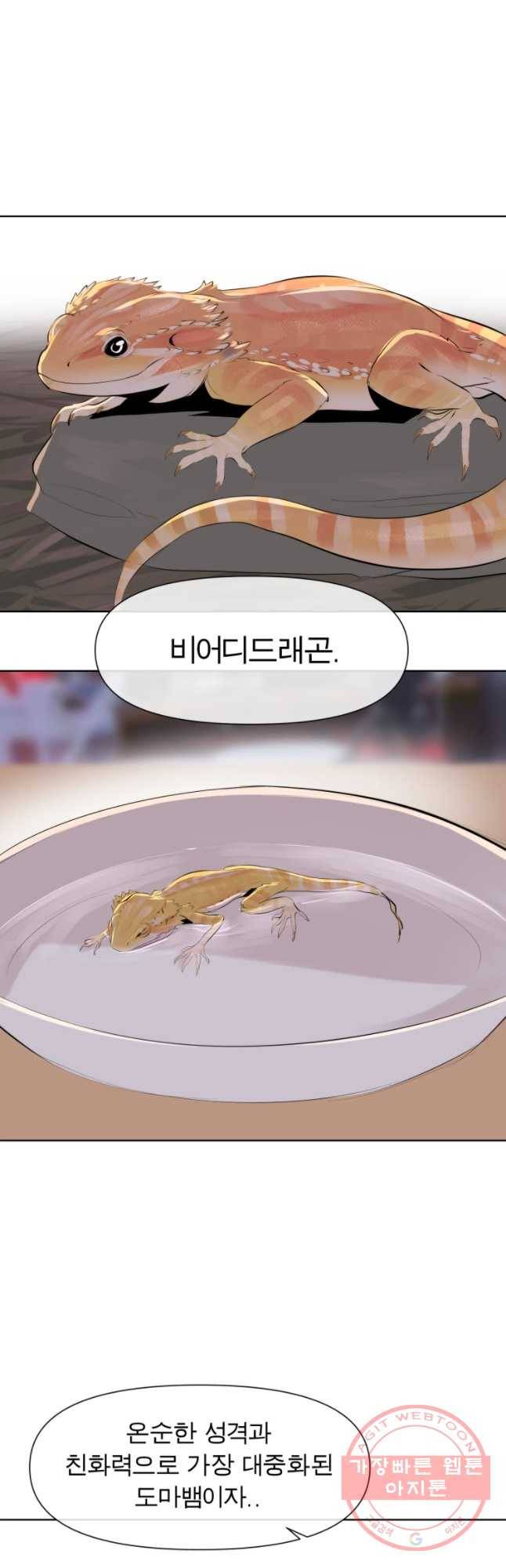 케어시트 12화 비어디 16