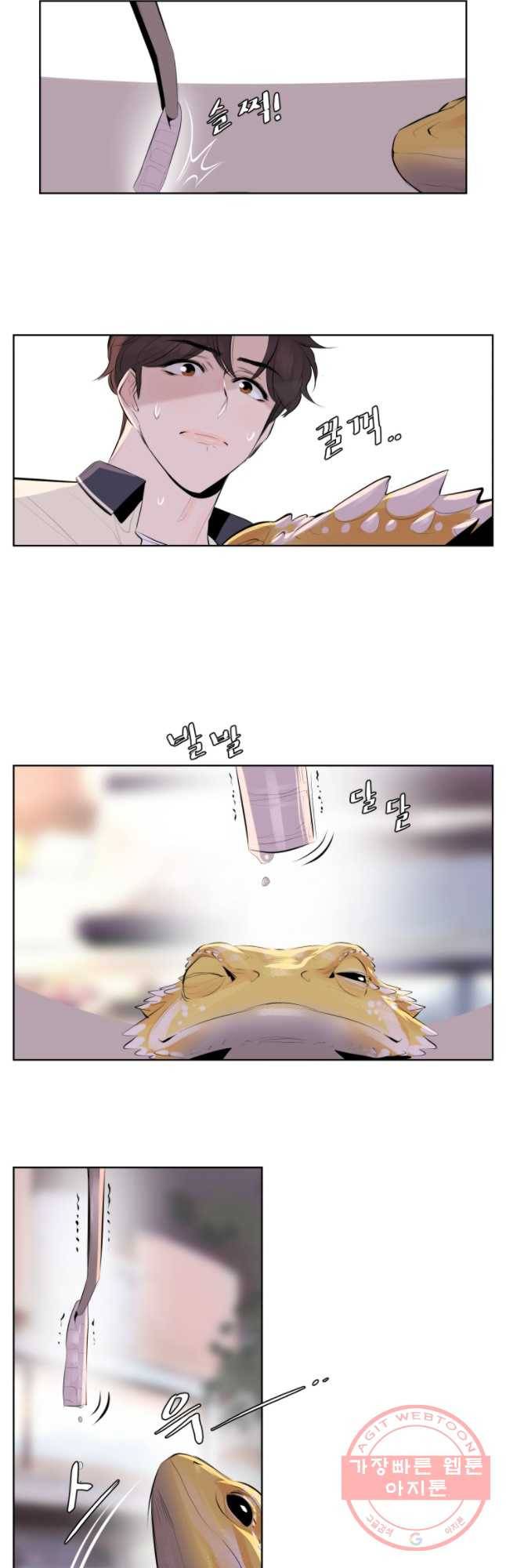 케어시트 12화 비어디 29