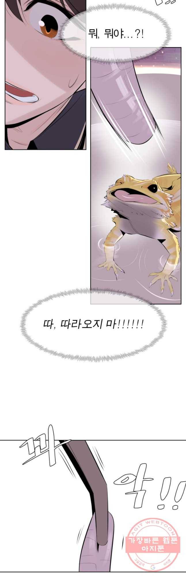 케어시트 12화 비어디 31