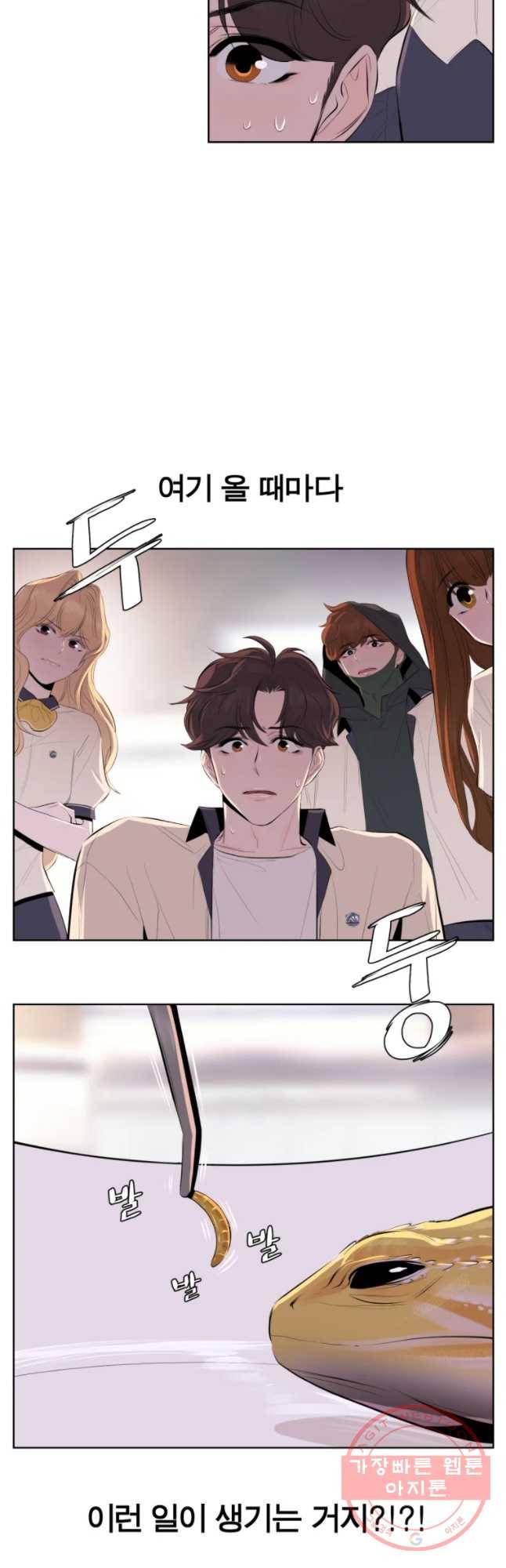 케어시트 13화 피딩 24