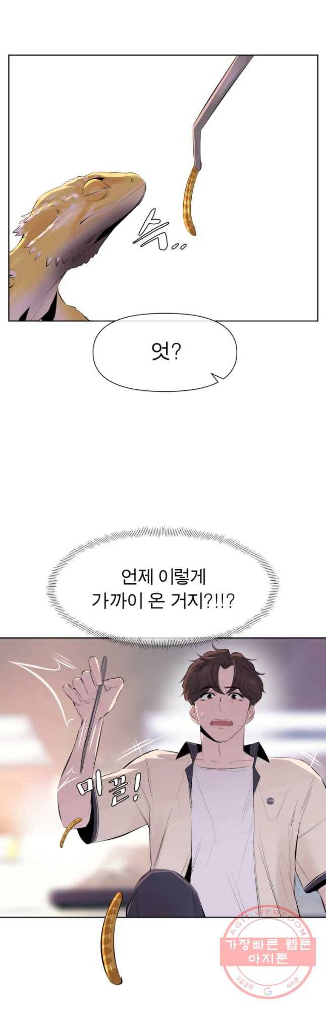 케어시트 13화 피딩 34