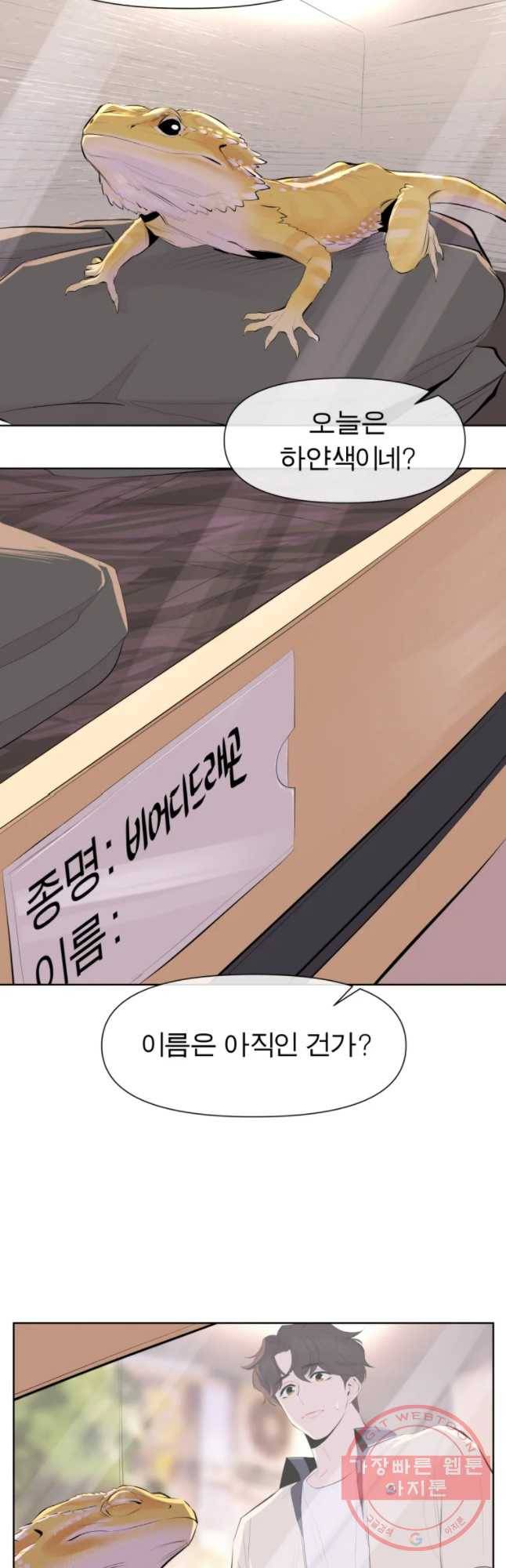 케어시트 15화 무계획 22
