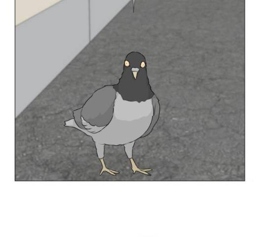 반귀 52화 7