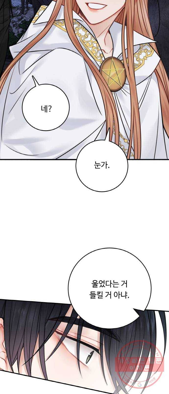 마녀와 용의 신혼일기 61화 21