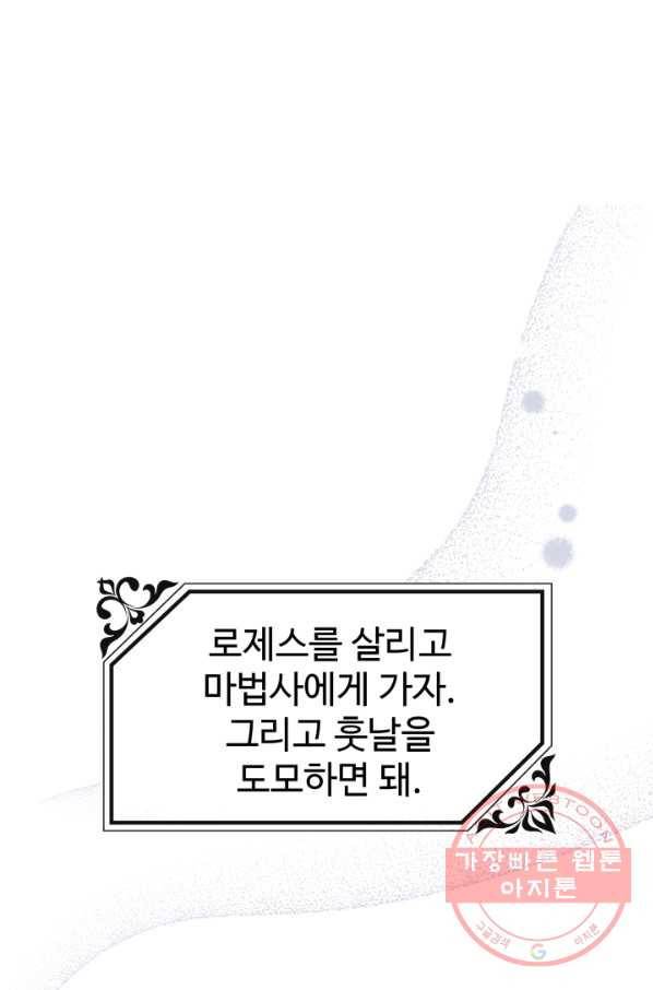 왕녀는 미친 척을 한다 52화 28