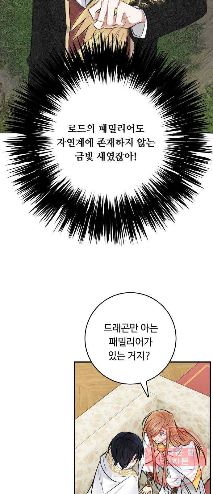 마녀와 용의 신혼일기 63화 48