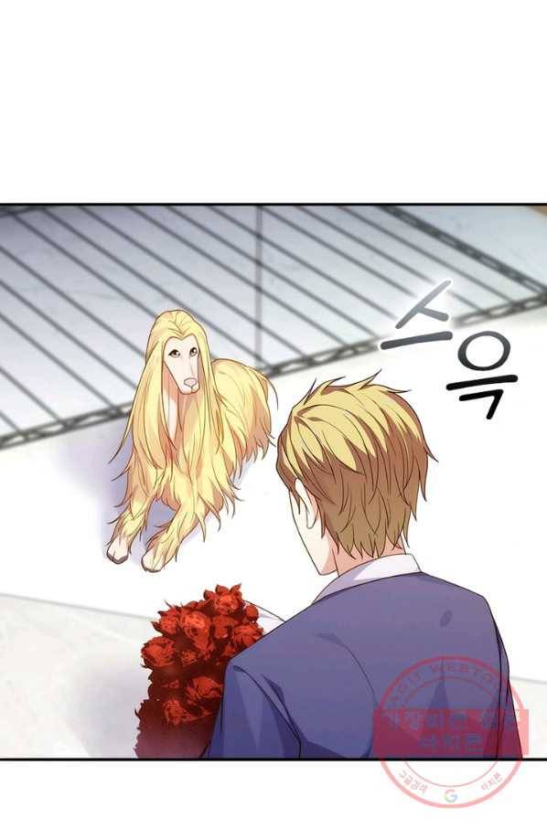 천계구매대행 95화 5