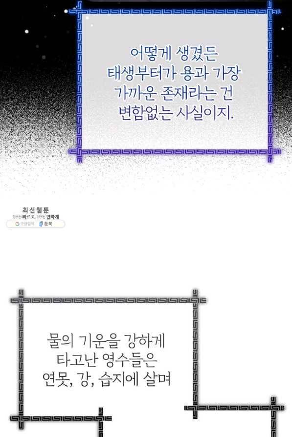 접경지역의 동물병원 79화 14