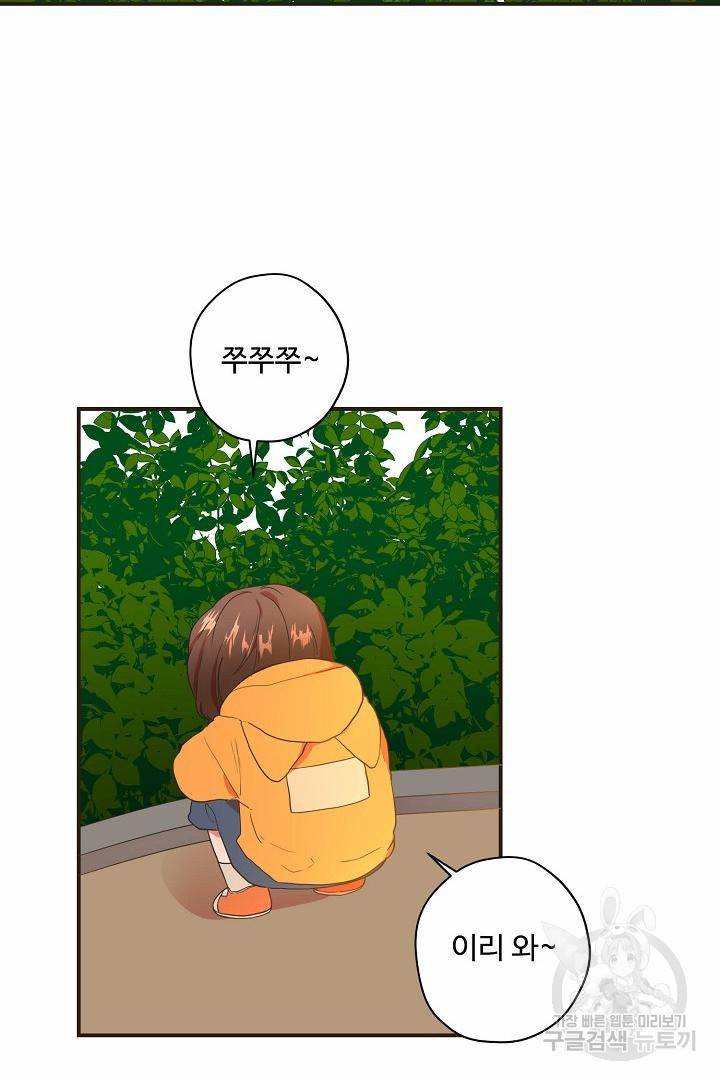 멍멍냥냥 64화 64