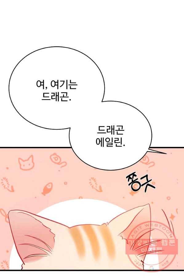 베이비 드래곤 41화 3