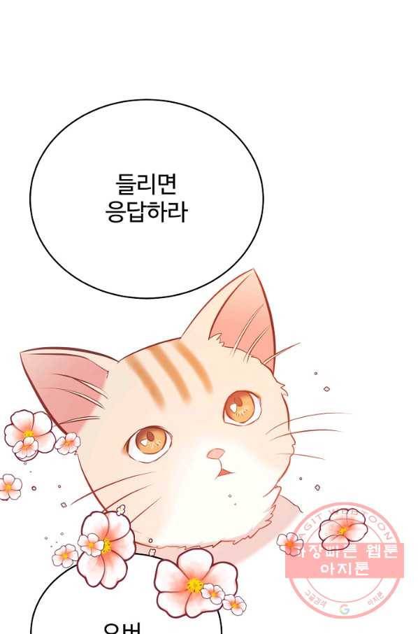 베이비 드래곤 41화 4