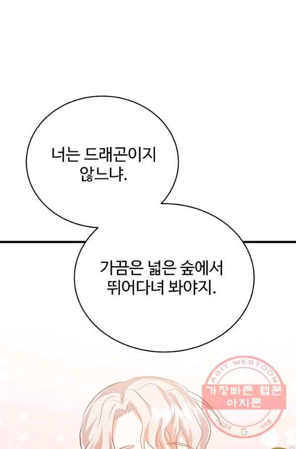 베이비 드래곤 41화 42