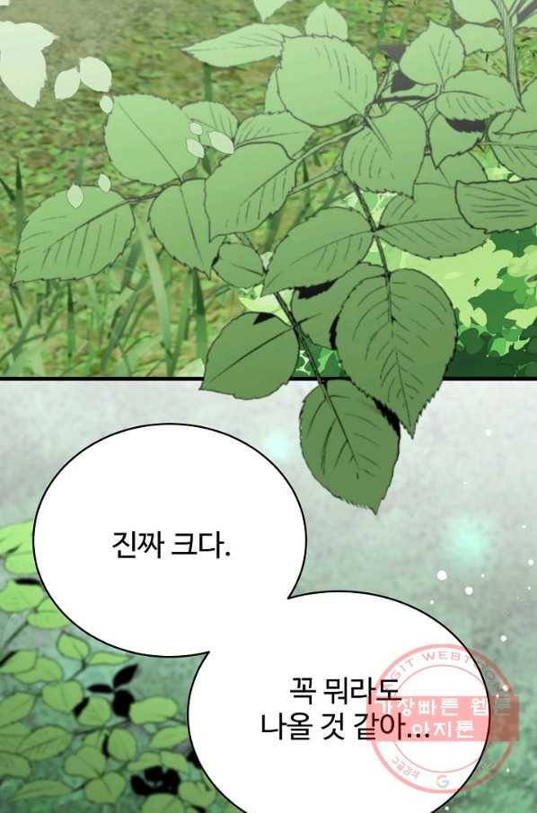 베이비 드래곤 41화 49