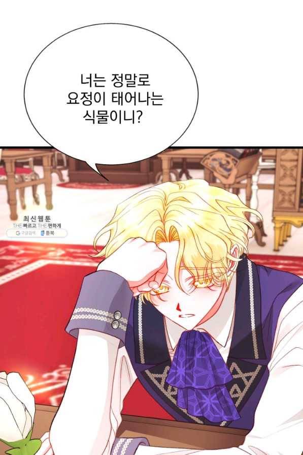 극한 공녀 106화(외전 6화) 14