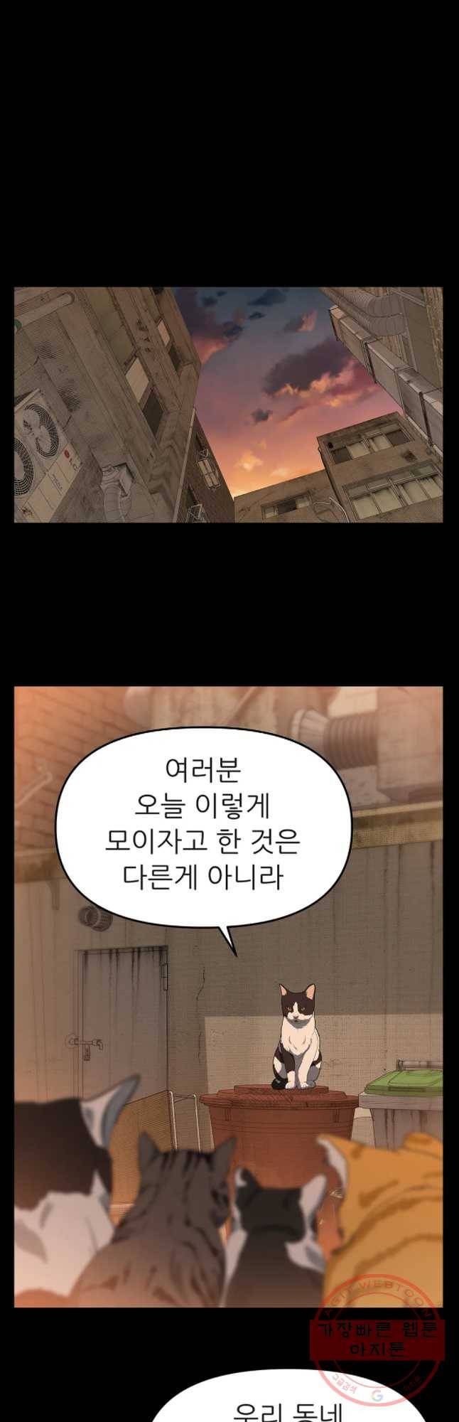 무지개다리 파수꾼 53화 12