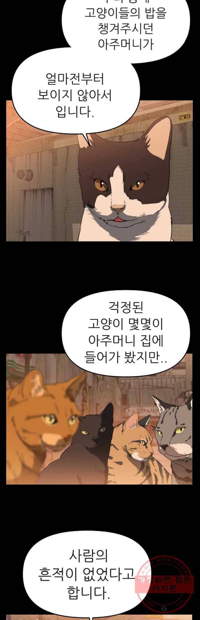 무지개다리 파수꾼 53화 13