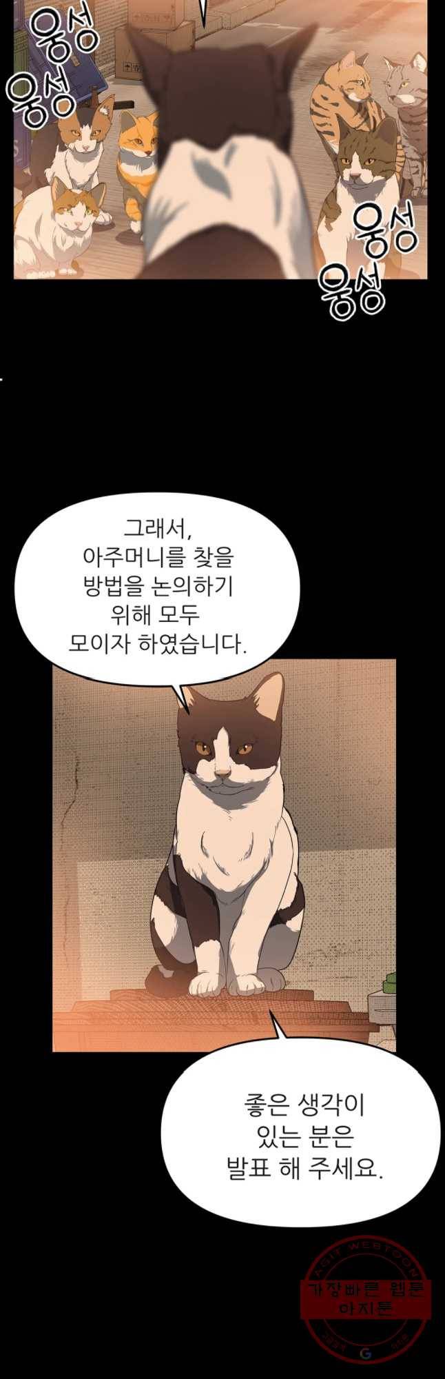 무지개다리 파수꾼 53화 14