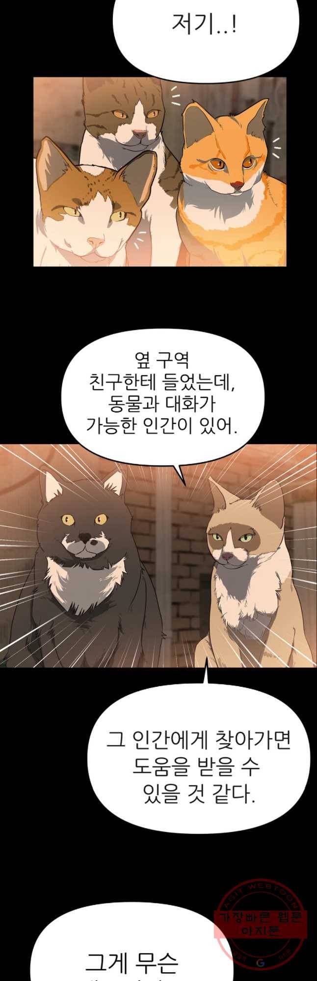 무지개다리 파수꾼 53화 16