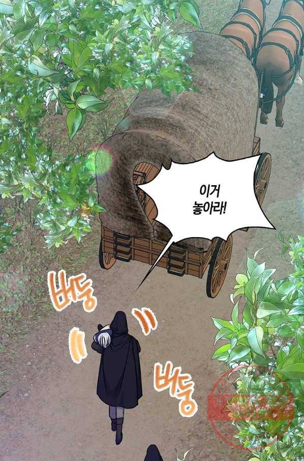 악녀의 딸로 태어났다 35화 2