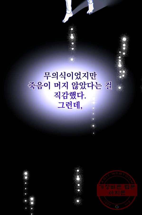 왕녀는 미친 척을 한다 58화 100
