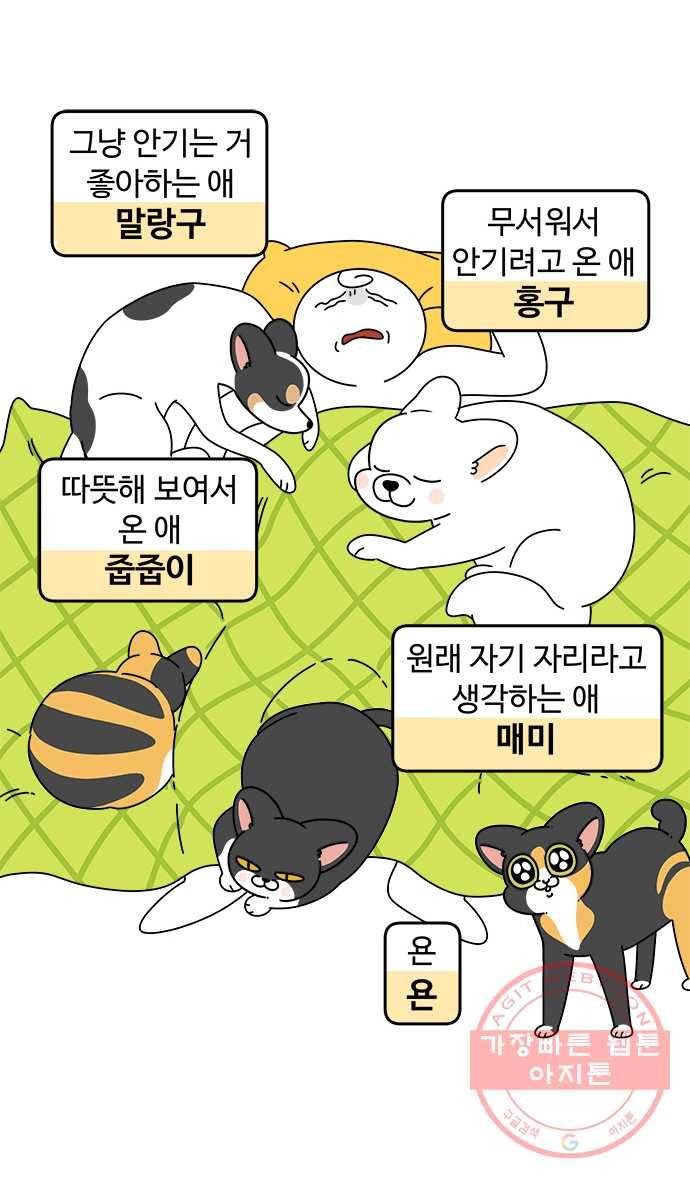 먹는 인생 40화 햄버거 3
