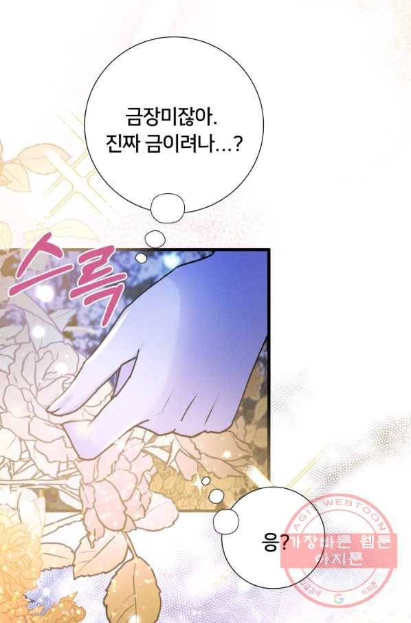 이제 그만 파혼해 드릴게요 15화 9