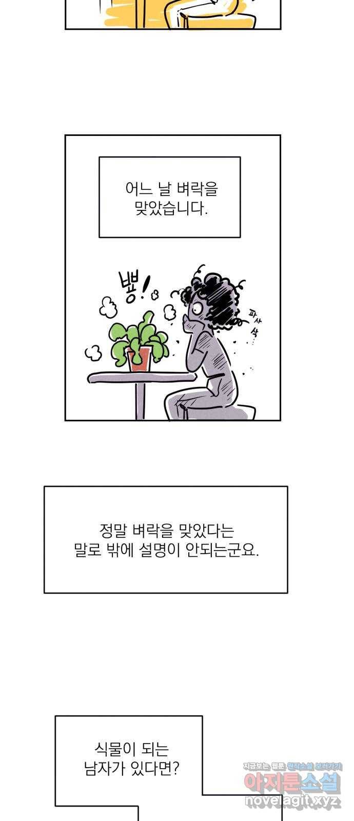 꽃 피우는 남자 후기 4