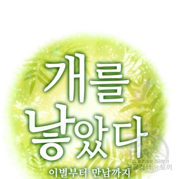 개를 낳았다 시즌2 91화 4