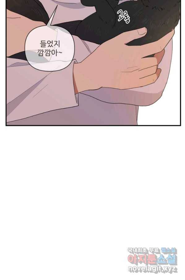 어른이 63화 12