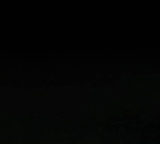 생존로그 46화 29