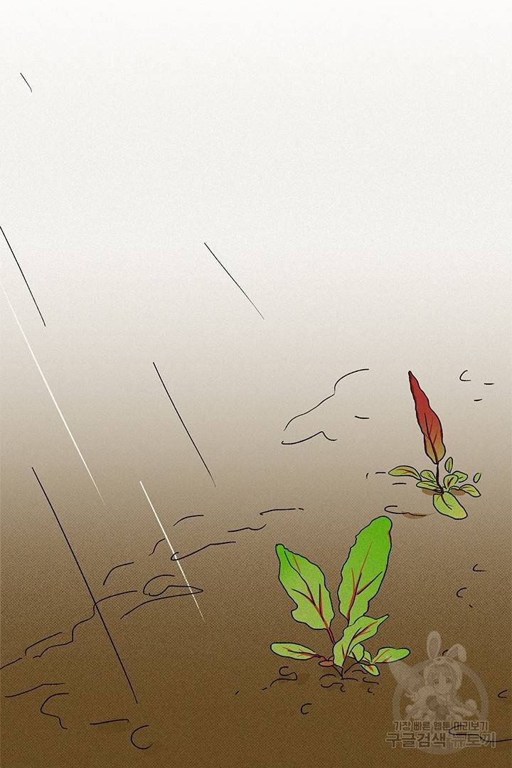 밀과 보리가 자란다 93화 21