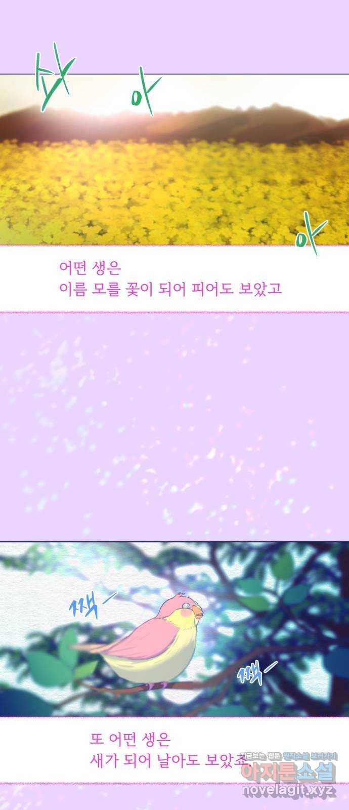 오징어도 사랑이 되나요? 마지막화 9